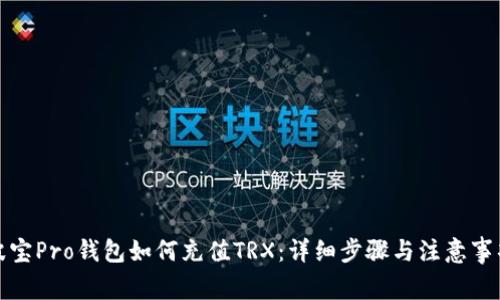 波宝Pro钱包如何充值TRX：详细步骤与注意事项