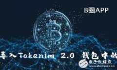 如何安全导入Tokenim 2.0 钱