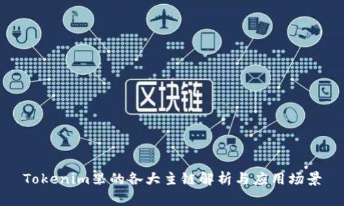 Tokenim里的各大主链解析与应用场景