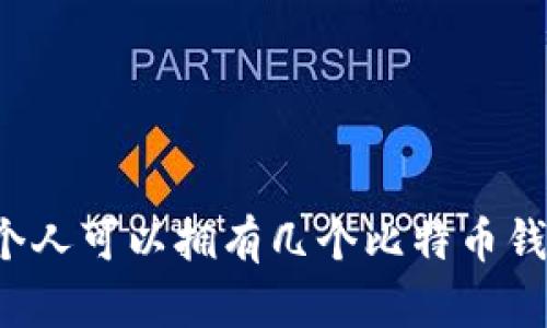 一个人可以拥有几个比特币钱包？