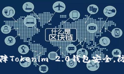 如何保障Tokenim 2.0钱包安全，防止被盗