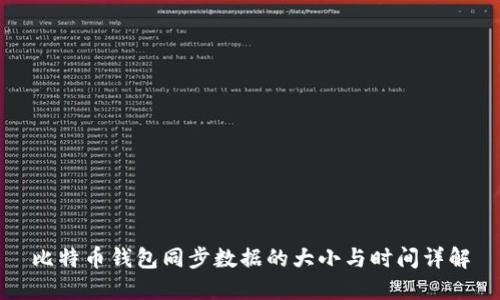 比特币钱包同步数据的大小与时间详解