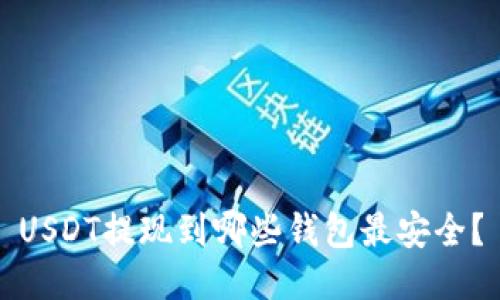 USDT提现到哪些钱包最安全？