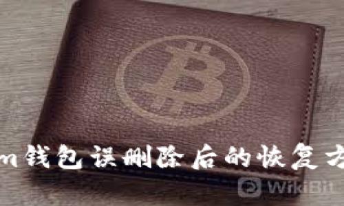 Tokenim钱包误删除后的恢复方法详解