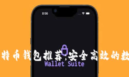 最佳PC端比特币钱包推荐：安全高效的数字资产管理