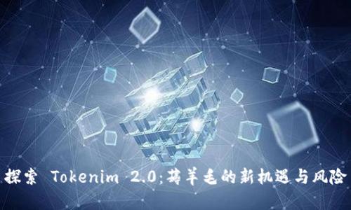 探索 Tokenim 2.0：薅羊毛的新机遇与风险