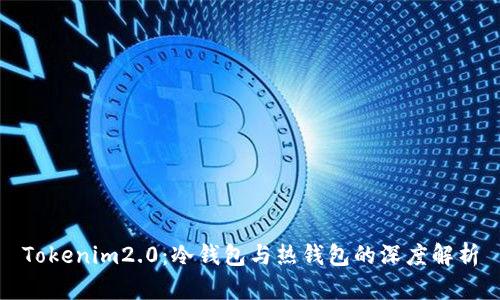 Tokenim2.0：冷钱包与热钱包的深度解析
