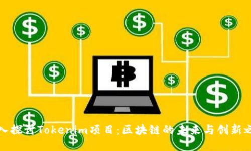 深入探讨Tokenim项目：区块链的未来与创新之旅