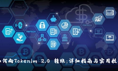 如何向Tokenim 2.0 转账：详细指南与实用技巧