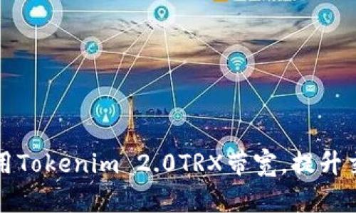 如何使用Tokenim 2.0TRX带宽，提升交易效率