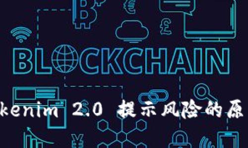 手机安装 Tokenim 2.0 提示风险的原因与解决方案