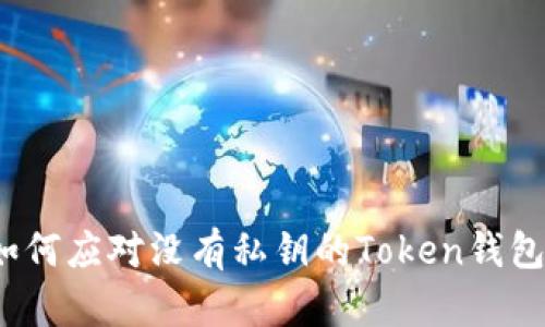 如何应对没有私钥的Token钱包？
