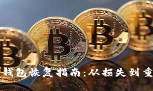 比特币在线钱包恢复指南：从损失到重生的全流程
