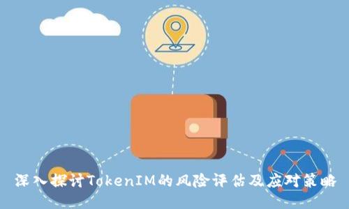 深入探讨TokenIM的风险评估及应对策略