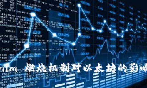 Tokenim 燃烧机制对以太坊的影响分析