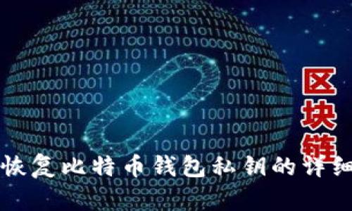 如何恢复比特币钱包私钥的详细指南