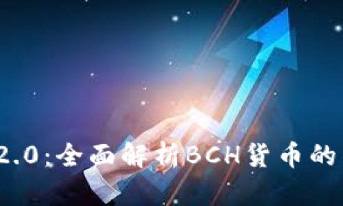 TokenIm 2.0：全面解析BCH货币的未来与发展