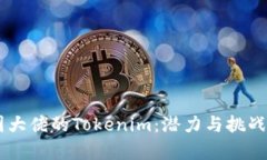 币圈大佬的Tokenim：潜力与