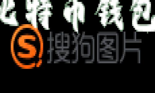 如何选择适合的比特币钱包：避免“太大”问题