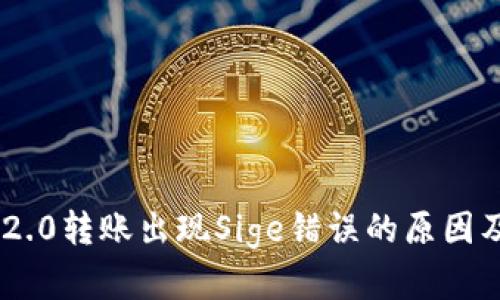 Tokenim 2.0转账出现Sige错误的原因及解决方案