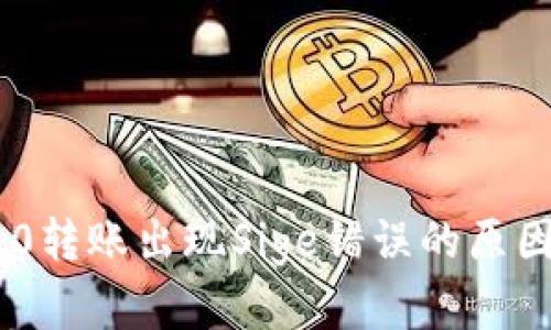 Tokenim 2.0转账出现Sige错误的原因及解决方案