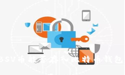 BSV币能否存入比特币钱包？