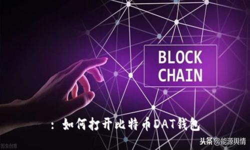 : 如何打开比特币DAT钱包