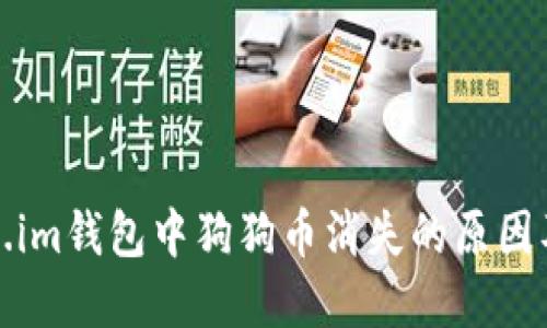 探讨Token.im钱包中狗狗币消失的原因及解决方案