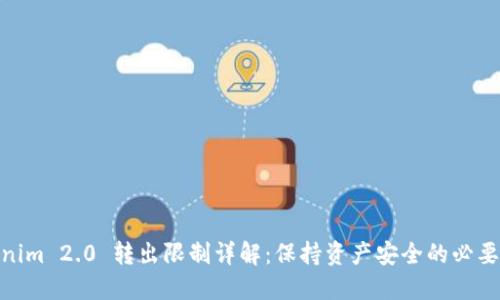 Tokenim 2.0 转出限制详解：保持资产安全的必要措施