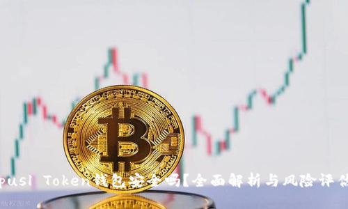 pusl Token钱包安全吗？全面解析与风险评估