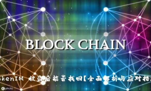 TokenIM 被盗后能否找回？全面解析与应对措施