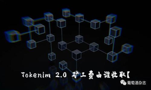 Tokenim 2.0 矿工费由谁收取？
