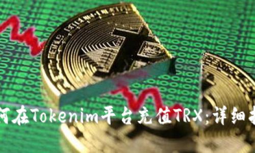 如何在Tokenim平台充值TRX：详细指南