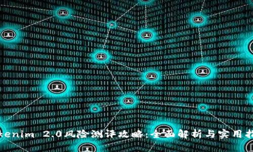 Tokenim 2.0风险测评攻略：全面解析与实用指南