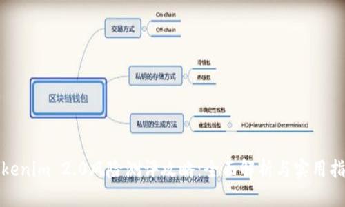 Tokenim 2.0风险测评攻略：全面解析与实用指南