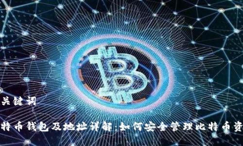 和关键词

比特币钱包及地址详解：如何安全管理比特币资产