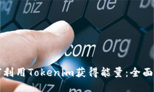 如何利用Tokenim获得能量：全面指南