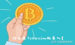 什么是Tokenim的导入？