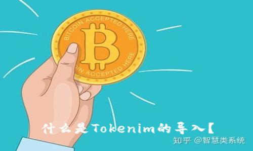 什么是Tokenim的导入？