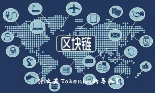 什么是Tokenim的导入？