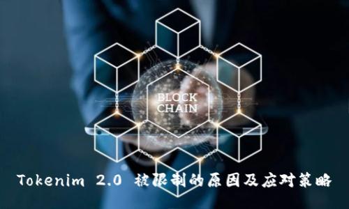 Tokenim 2.0 被限制的原因及应对策略