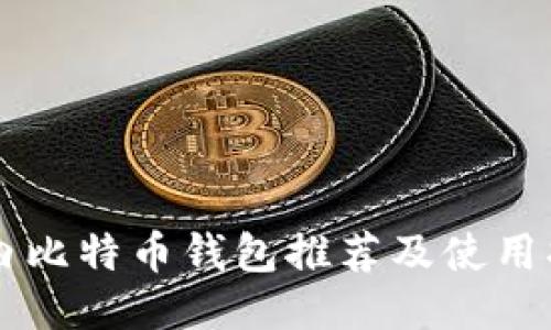 国内比特币钱包推荐及使用指南