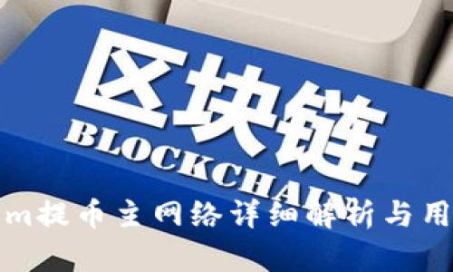Tokenim提币主网络详细解析与用户指南