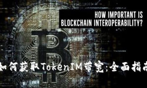如何获取TokenIM带宽：全面指南