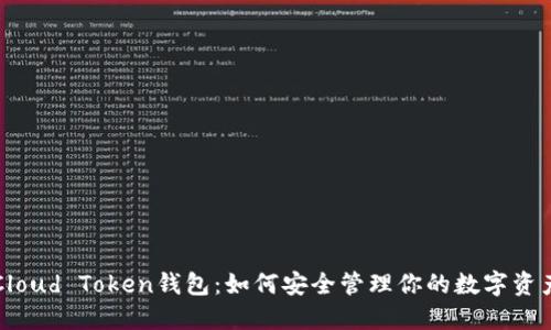 Cloud Token钱包：如何安全管理你的数字资产