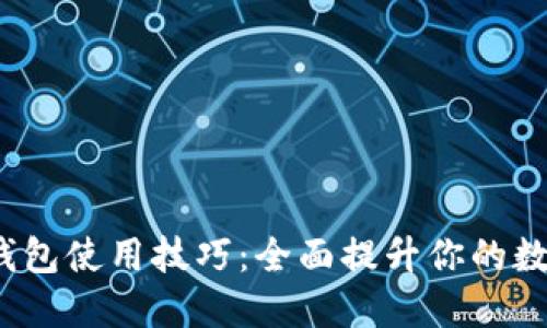 Tokenim 2.0 钱包使用技巧：全面提升你的数字货币管理能力