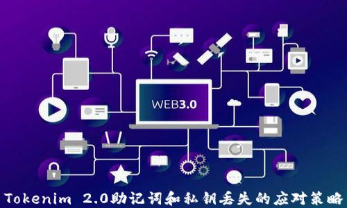 
Tokenim 2.0助记词和私钥丢失的应对策略