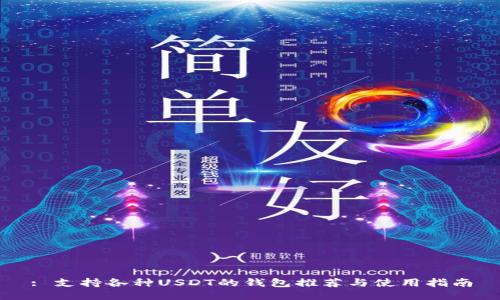 : 支持各种USDT的钱包推荐与使用指南