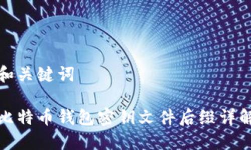 和关键词

比特币钱包密钥文件后缀详解