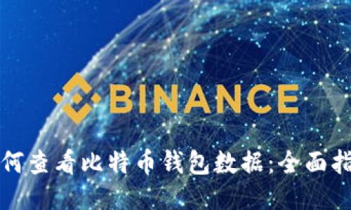 如何查看比特币钱包数据：全面指南